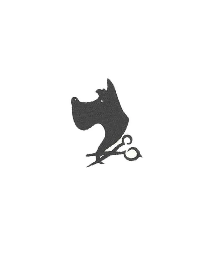 logo-ricamato