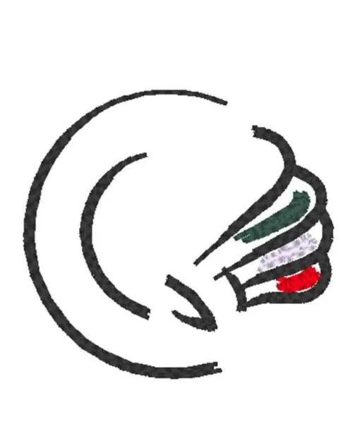 logo-ricamato