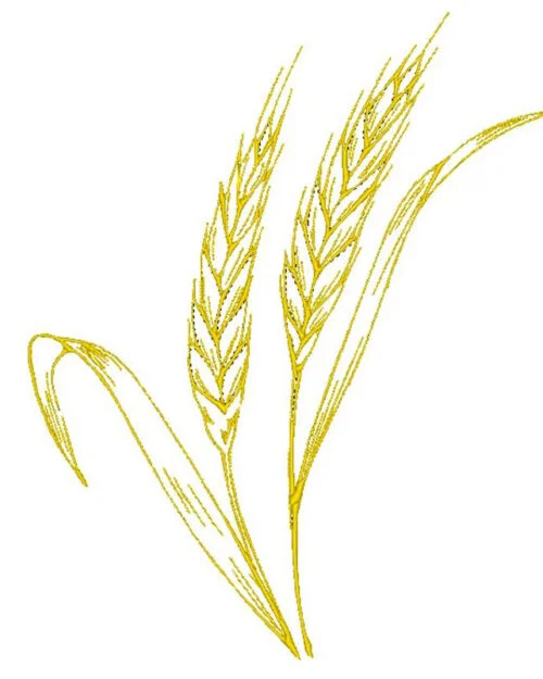 logo-ricamato